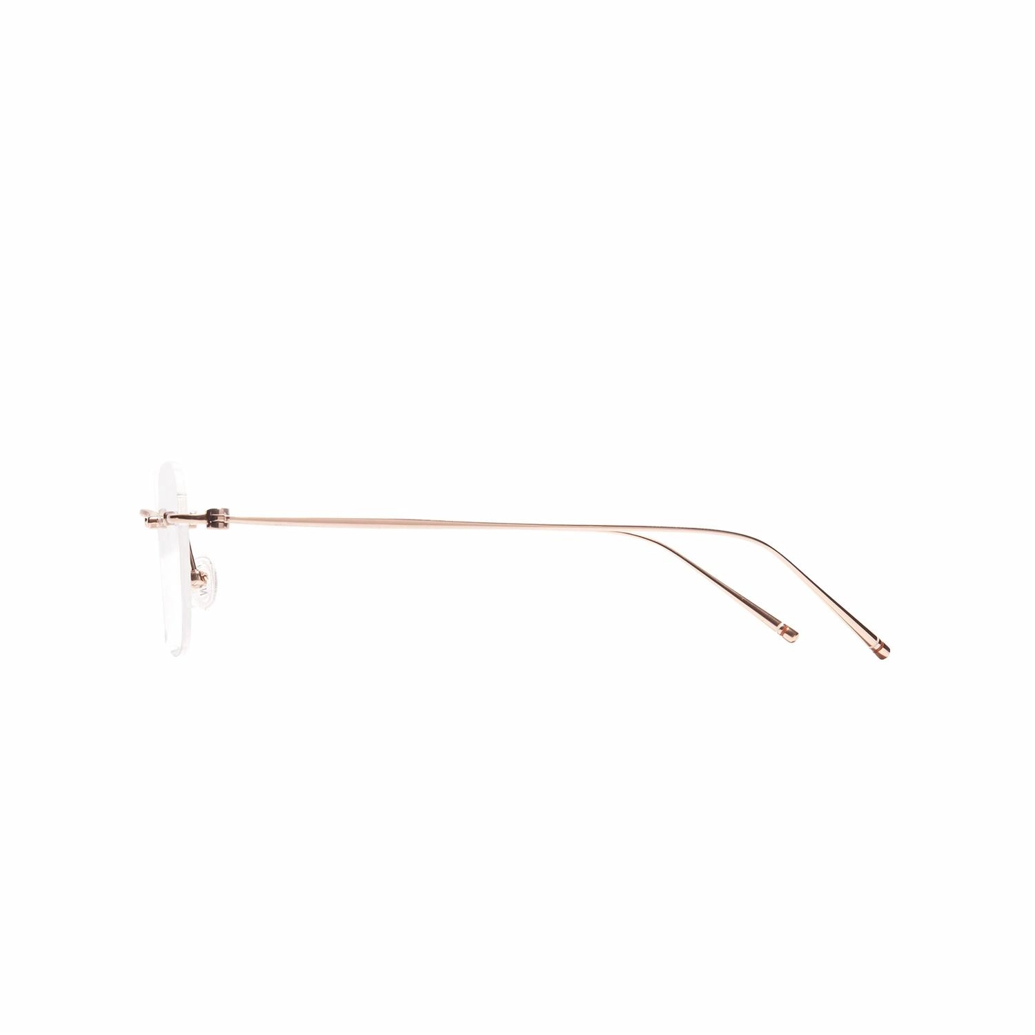 CARIN Sienna+