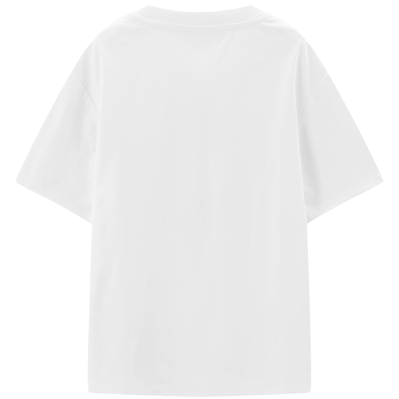 LEDIN T
