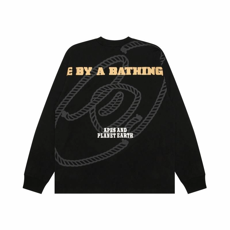 Aape T