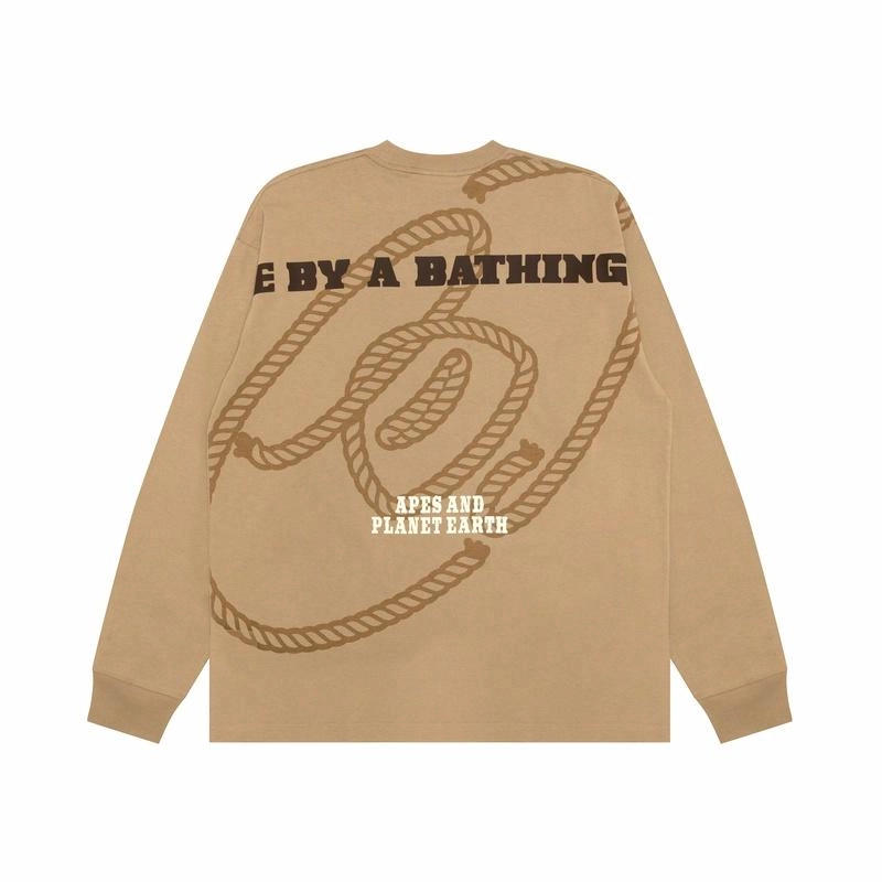 Aape T