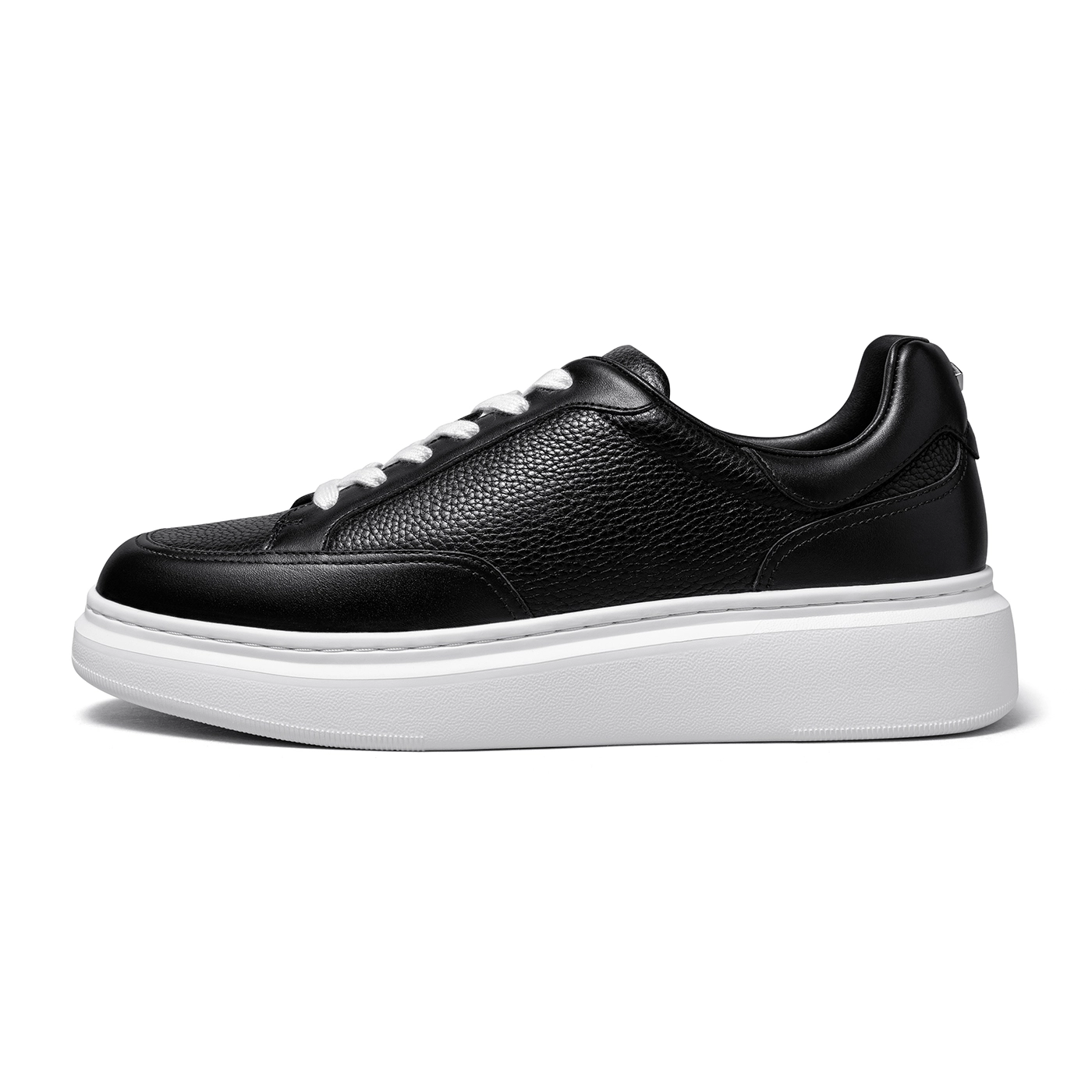 THOM WILLS trainer