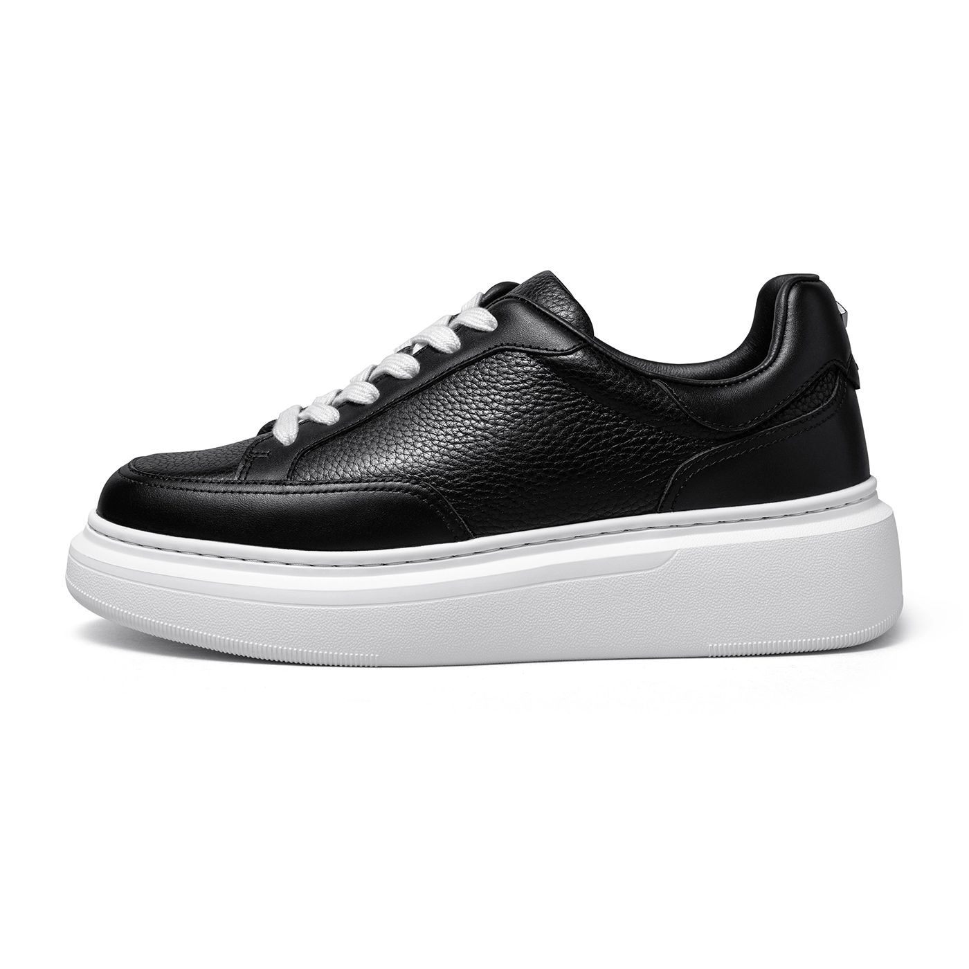 THOM WILLS trainer