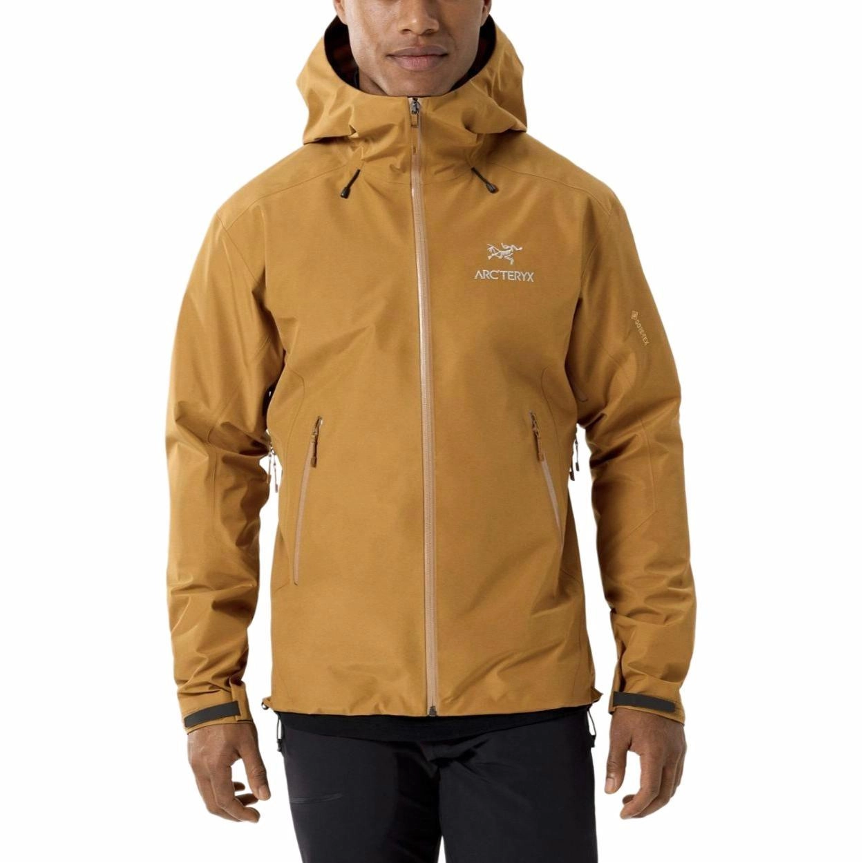 Arcteryx Beta Lt gore-tex