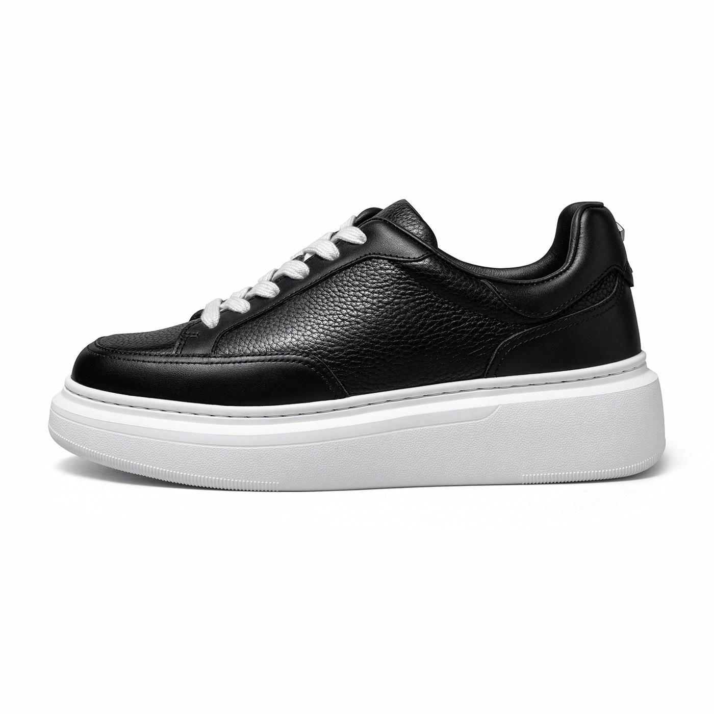 THOM WILLS trainer