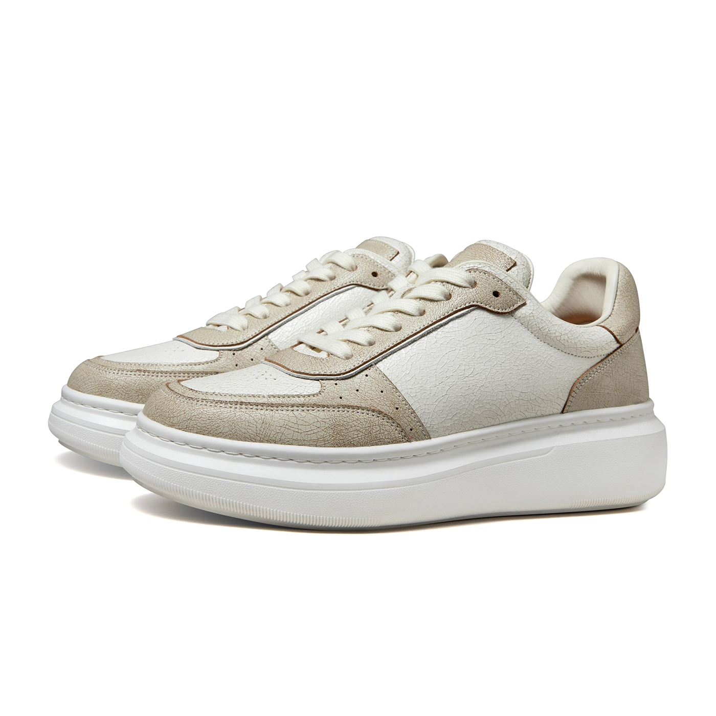 THOM WILLS Trainer