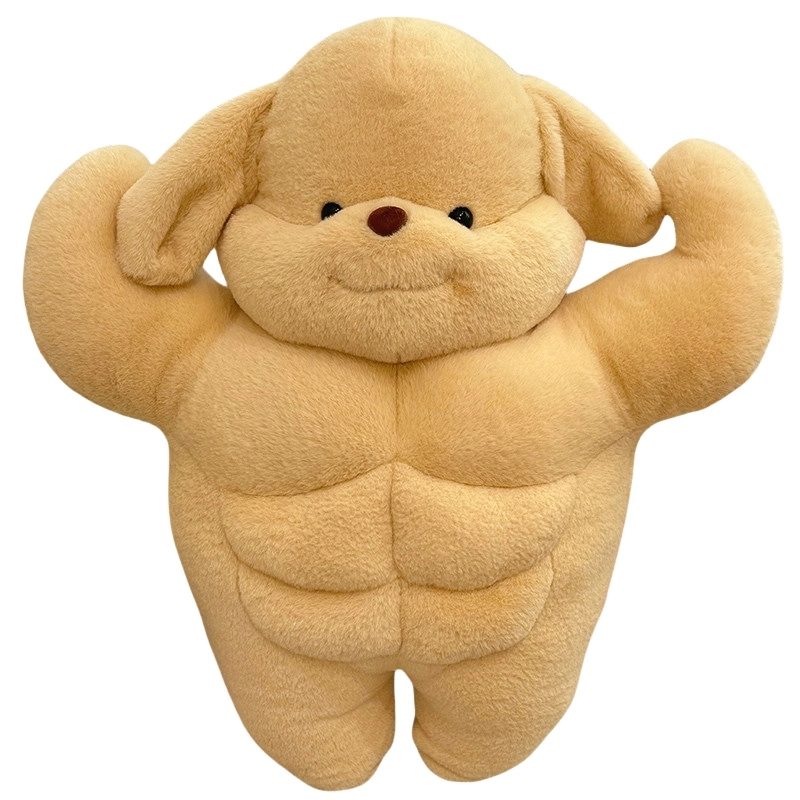 50cm