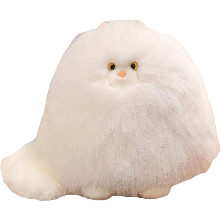 30cm40cm
