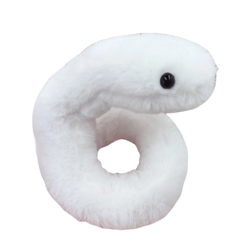 40cm