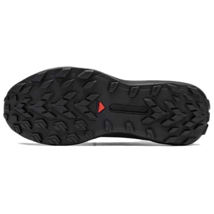 SALOMON GENESIS