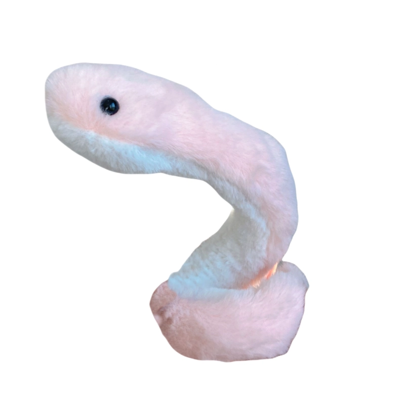20cm