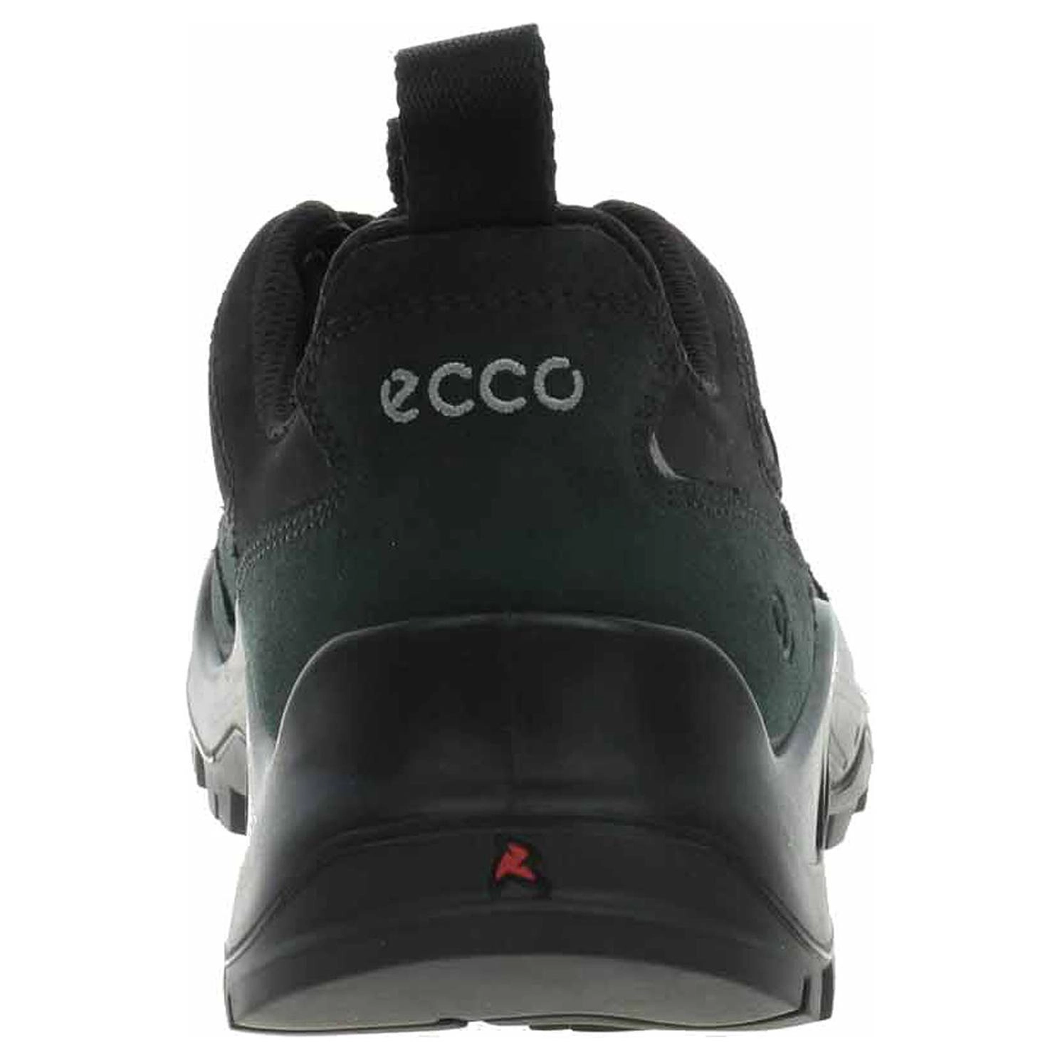 ecco