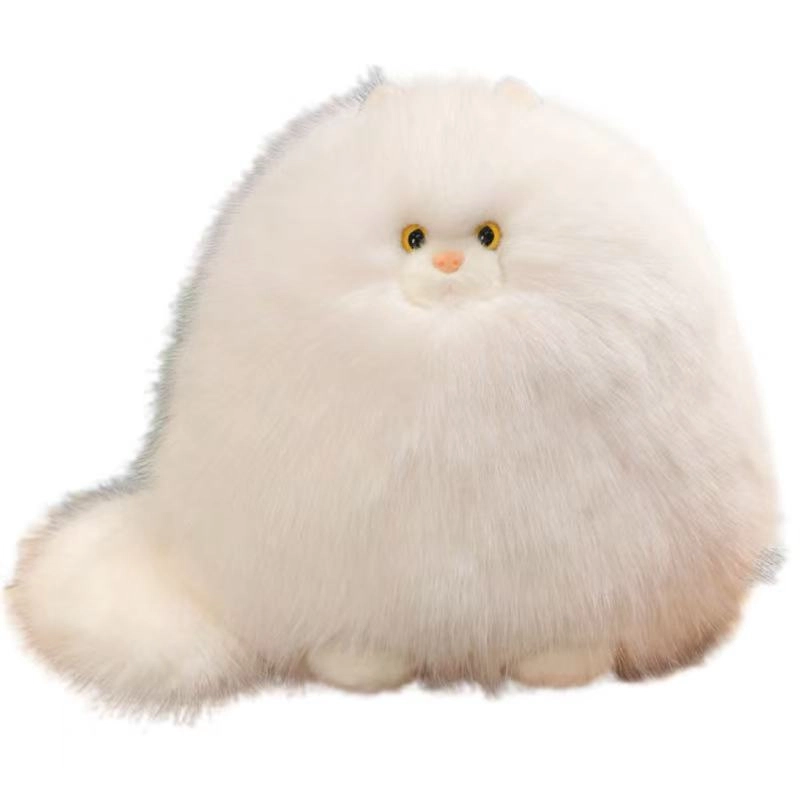 30cm40cm