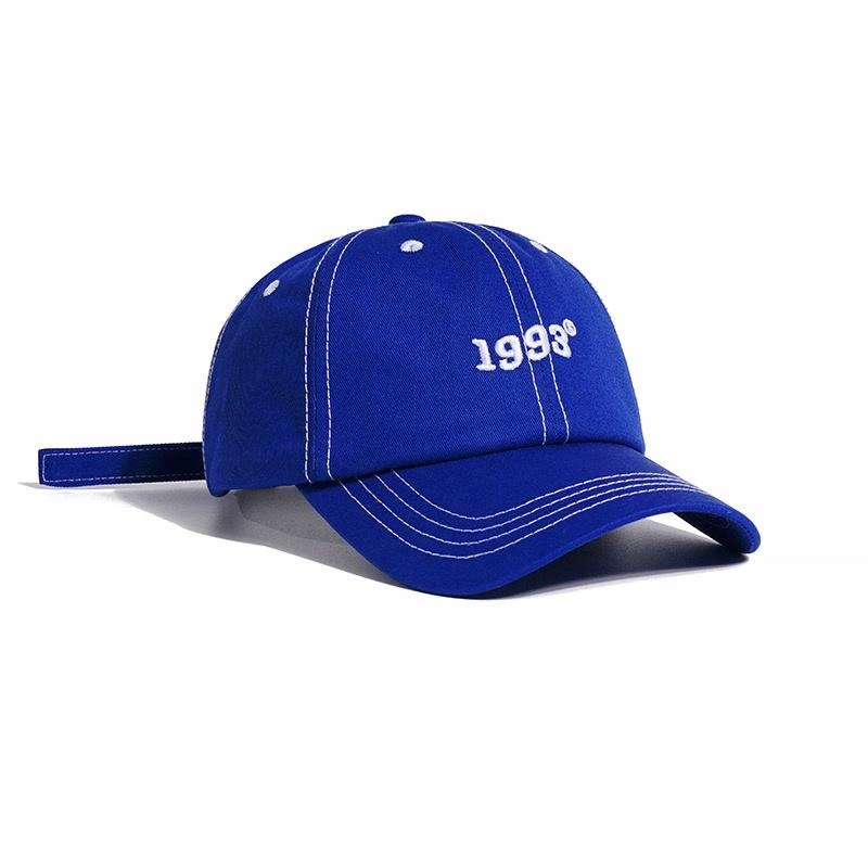 ins1993