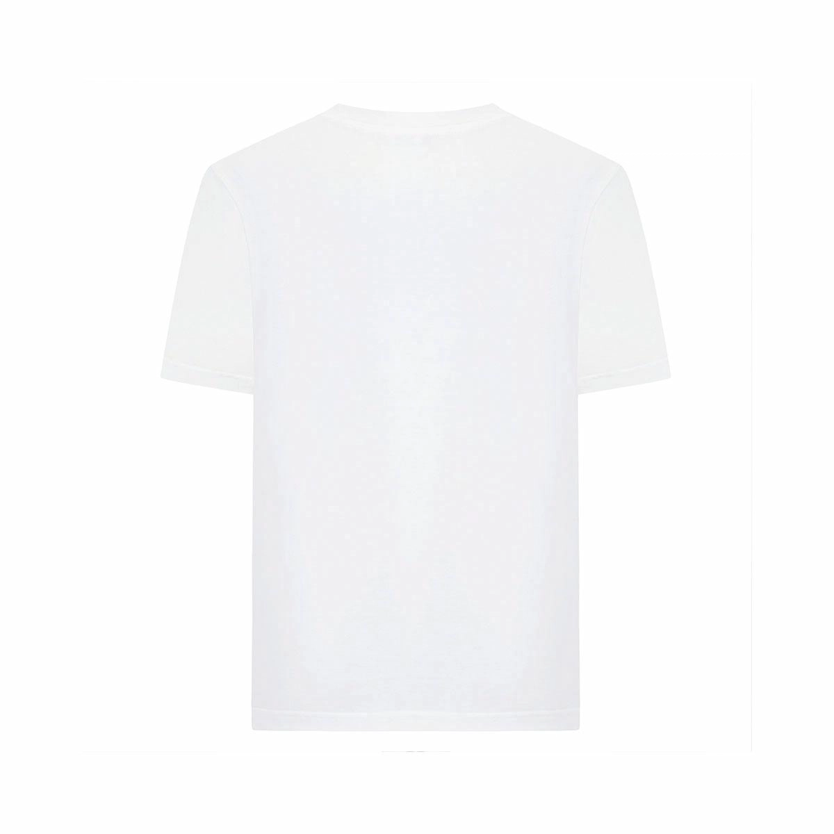 Cavalli Class T