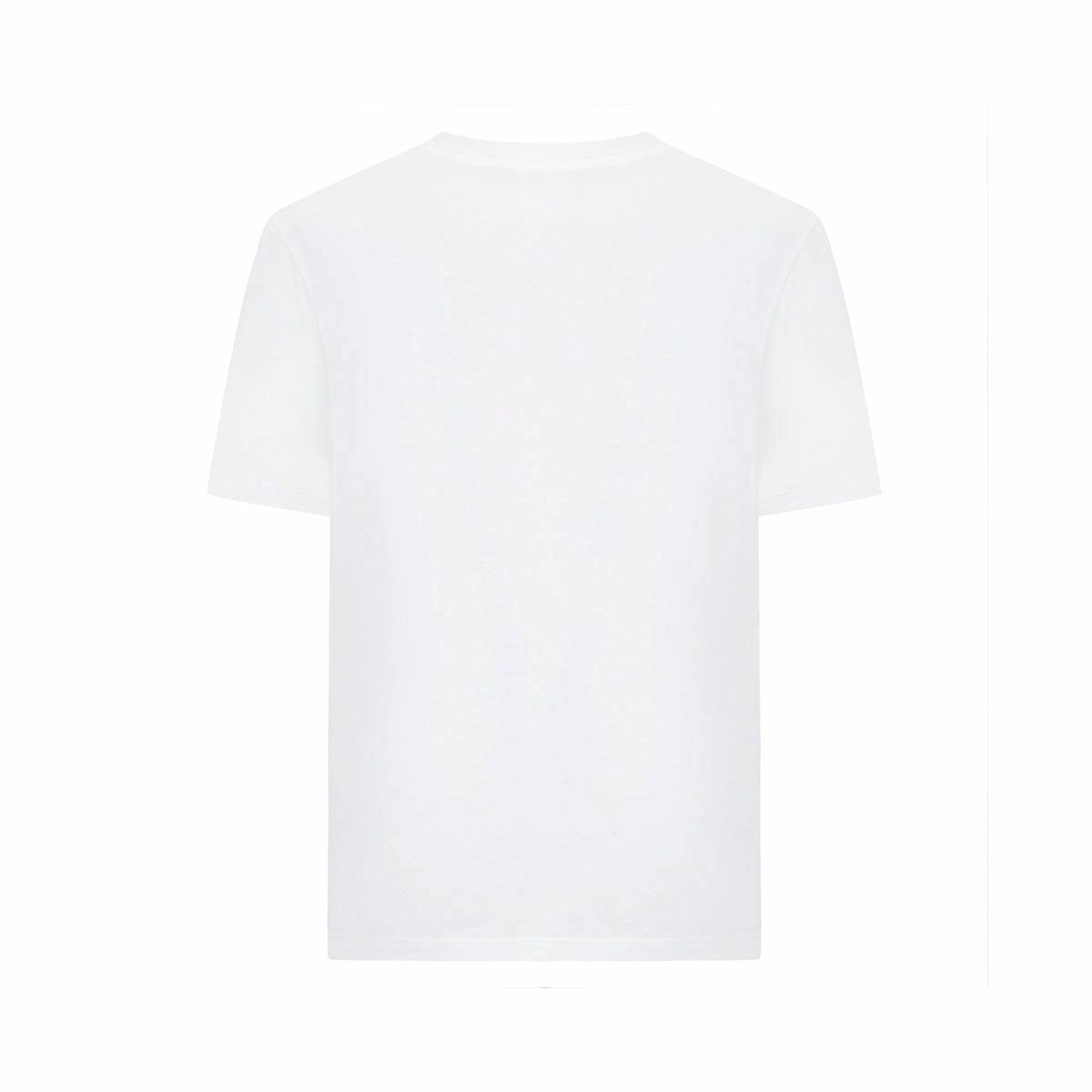Cavalli Class T