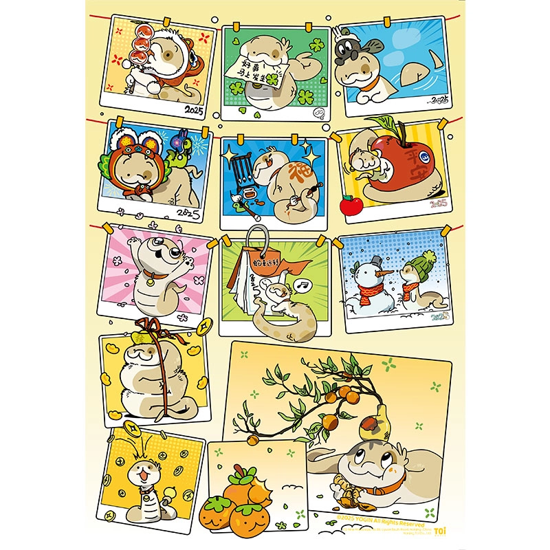 TOI 300pcs 23571