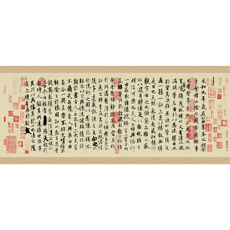 TOI 1000pcs 23462