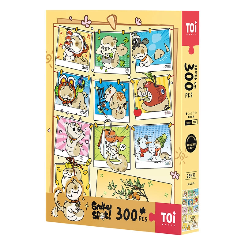 TOI 300pcs 23571