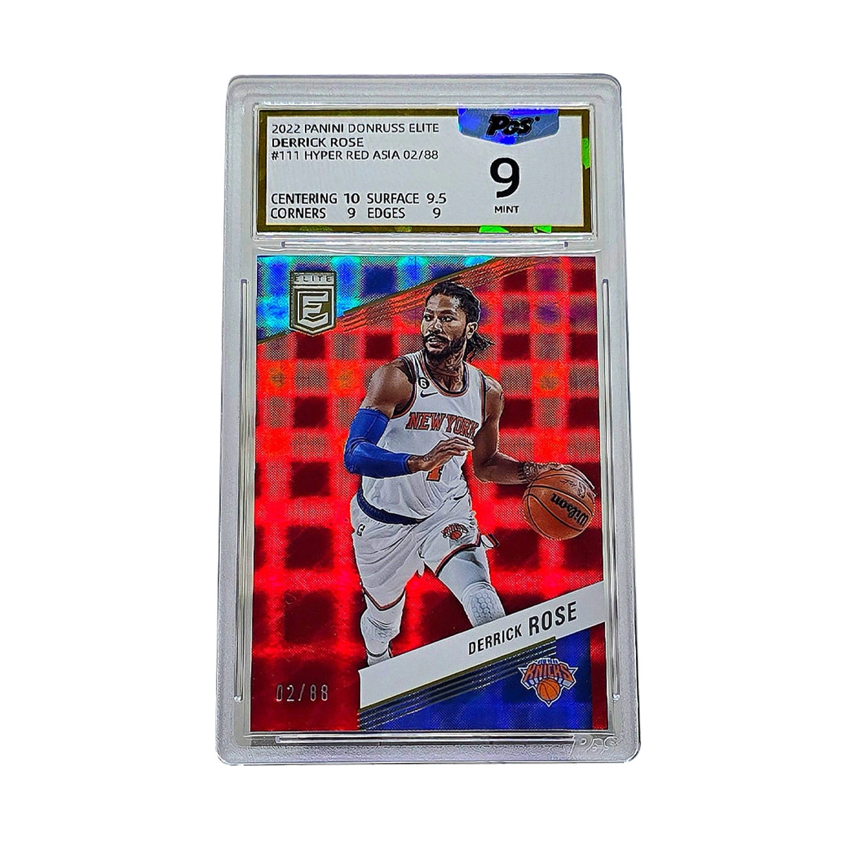 PANINI 288