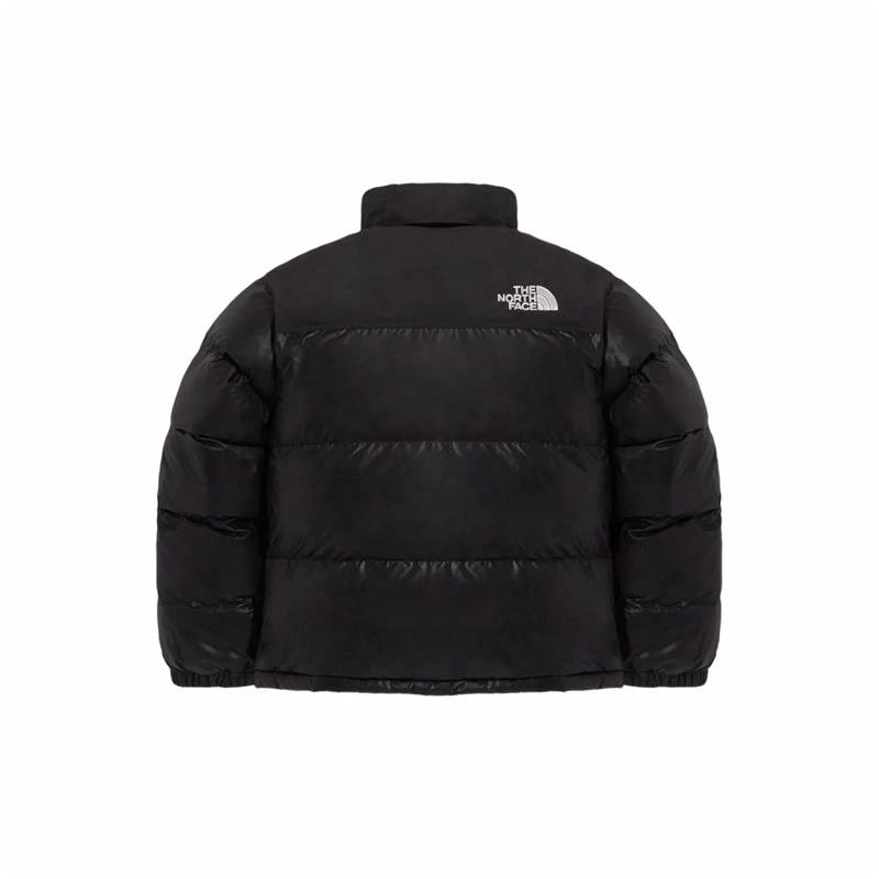 THE NORTH FACE 1996 M'S ECO NUPTSE JACKET