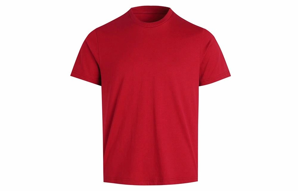 WHISTLEHUNTER T
