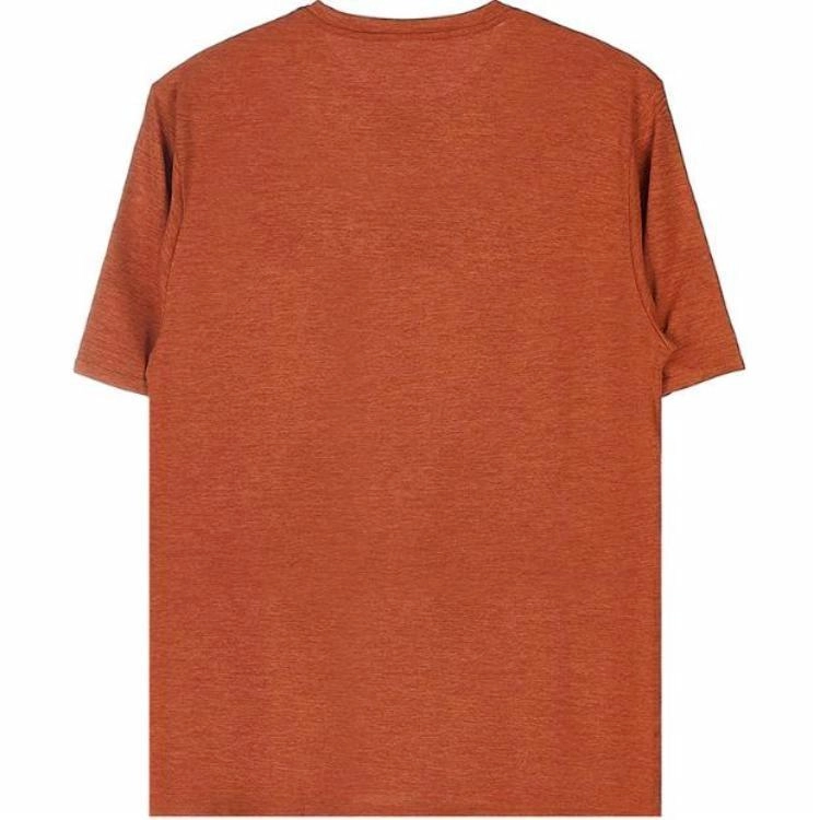 patagonia cap cool daily Graphic T