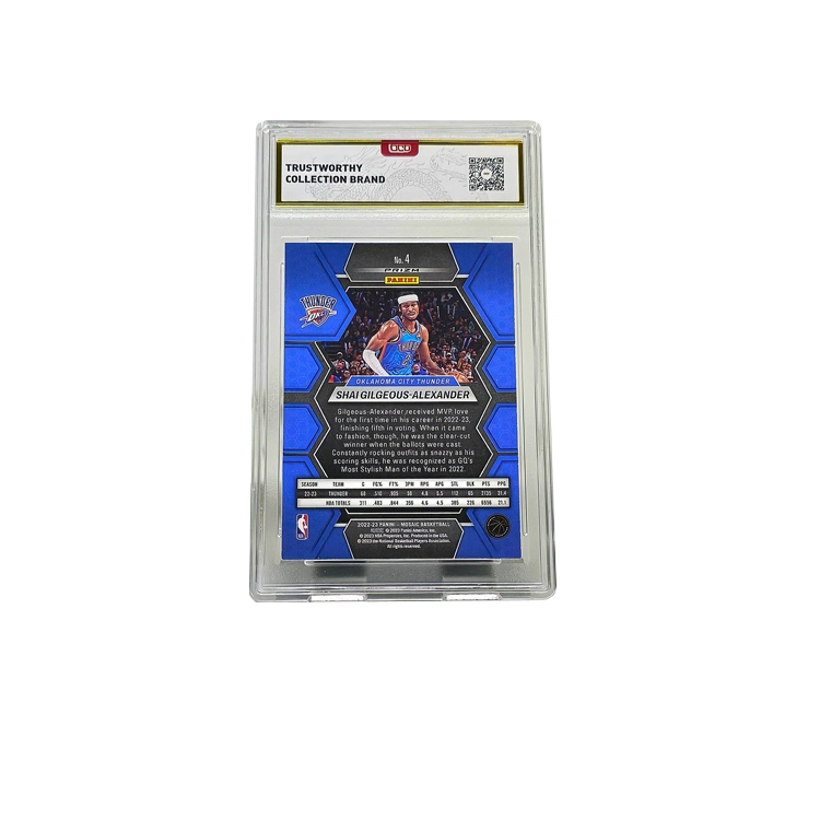 PANINI Panini MOSAIC 5 10