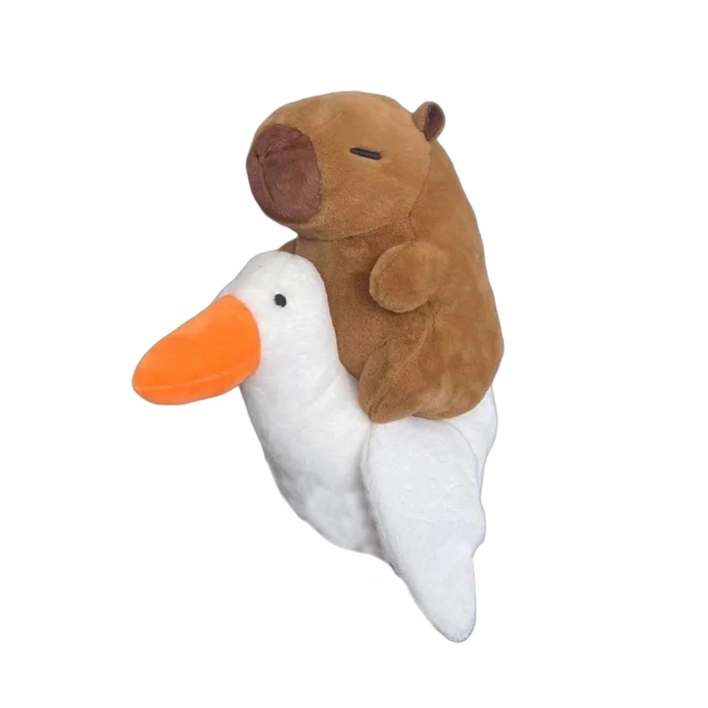 25cm35m45cm