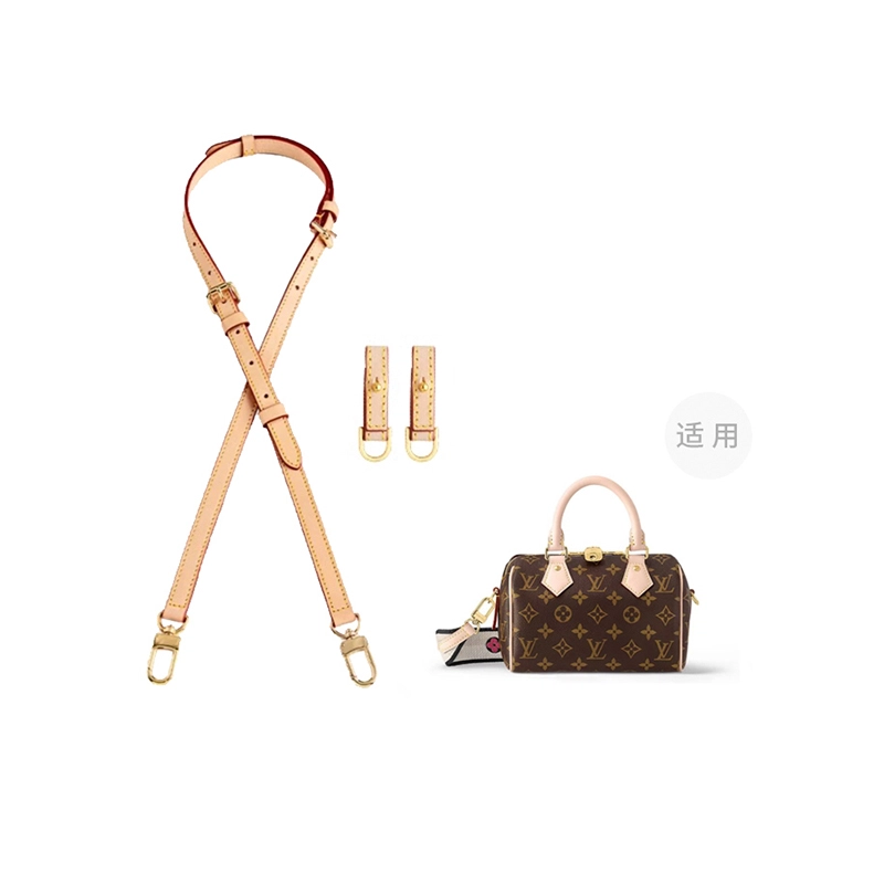 LOUIS VUITTON SpeedyBandoulire 20