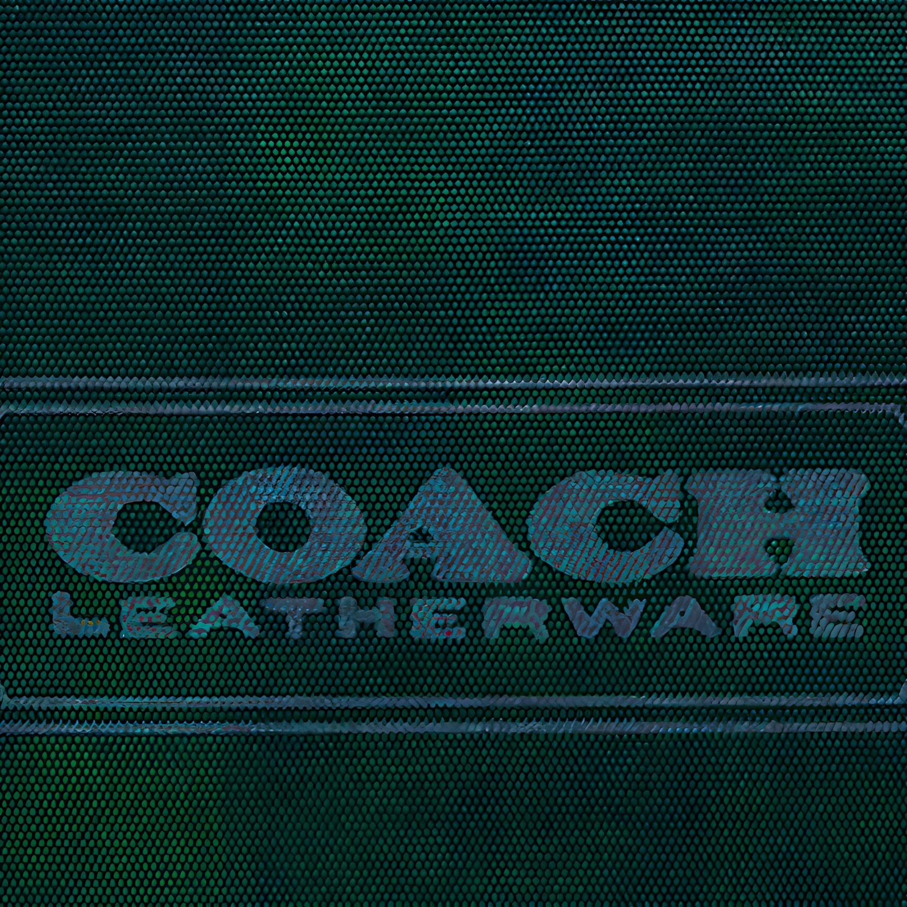 COACH Pouch Tech 30
