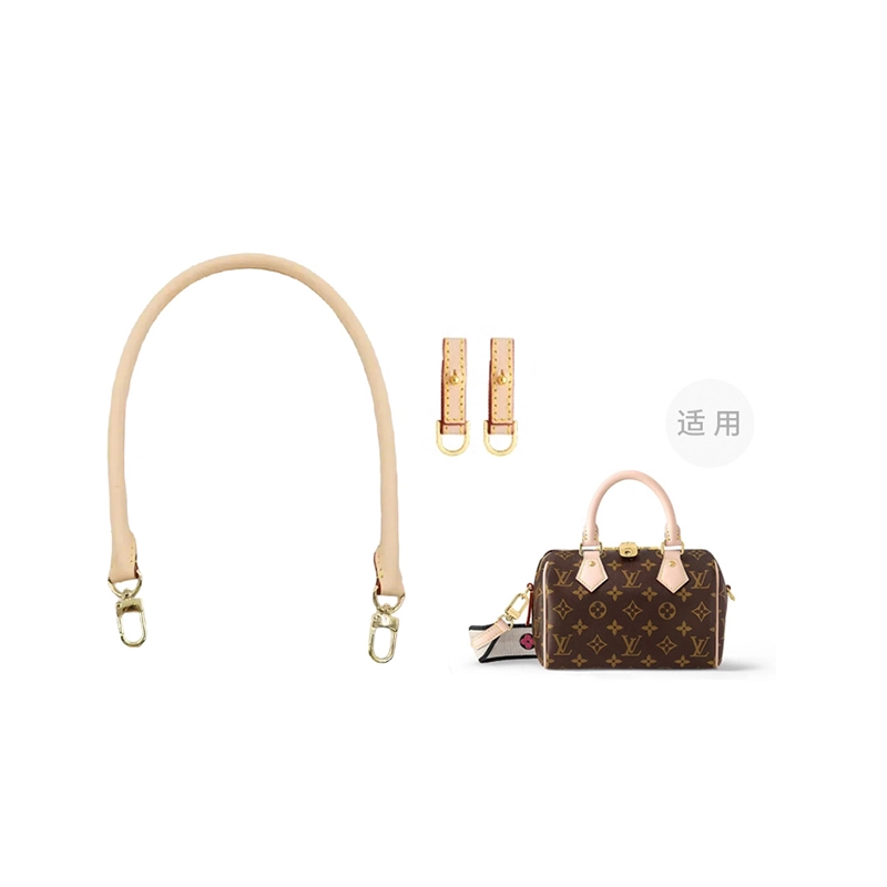 LOUIS VUITTON SpeedyBandoulire 20