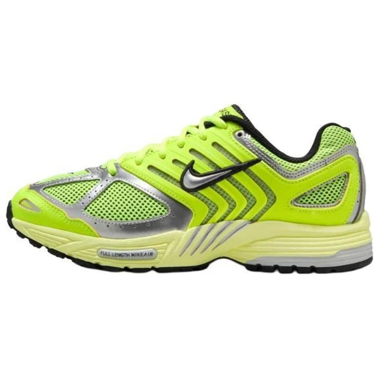 Nike Air Pegasus 2005