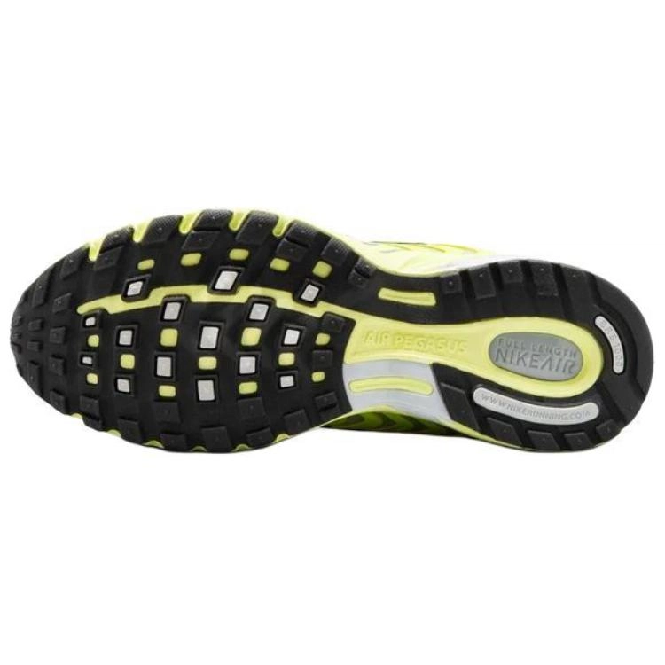 Nike Air Pegasus 2005