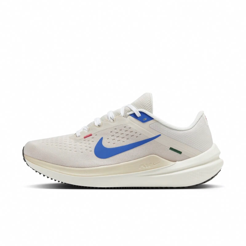 Nike Air Winflo 10 Y2K