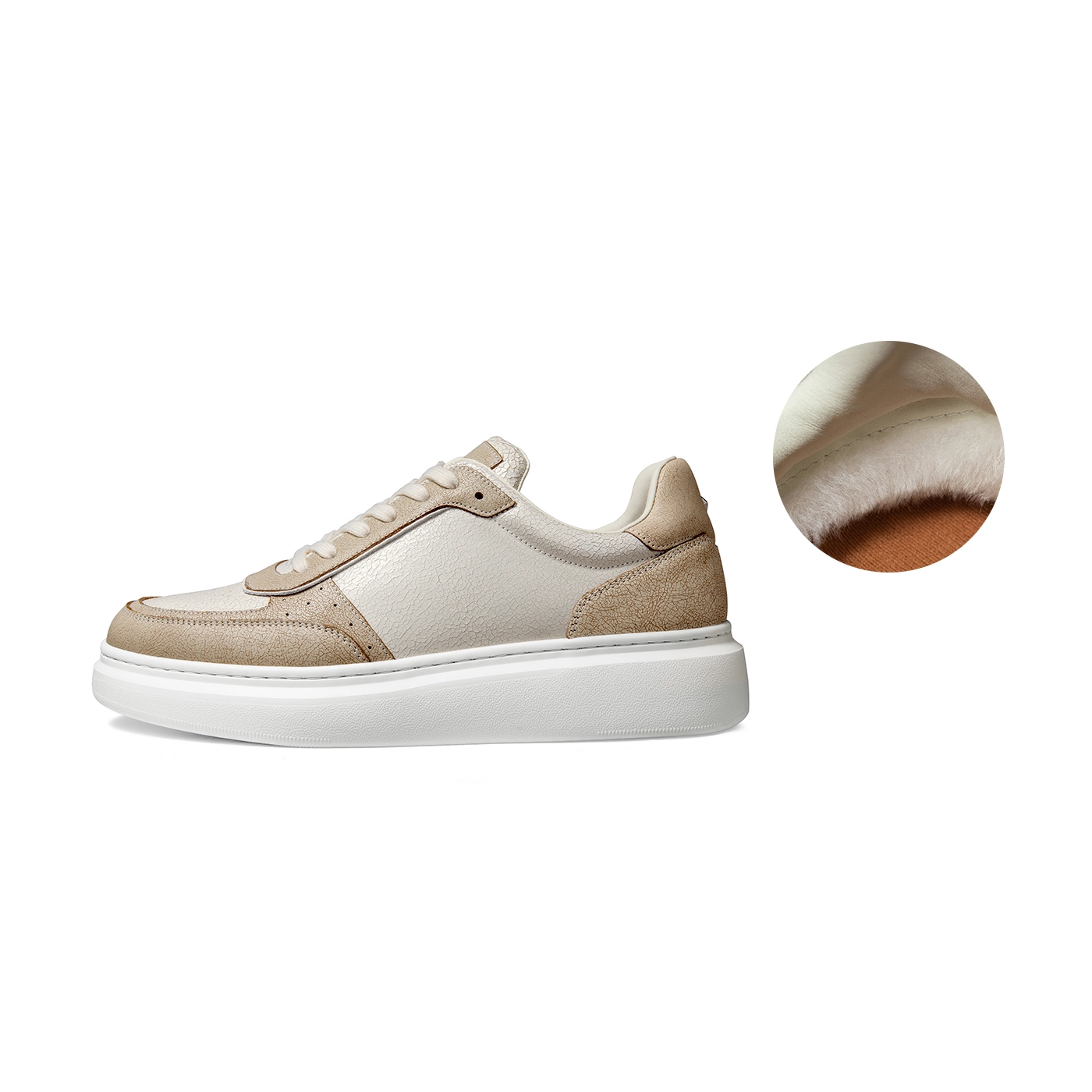 THOM WILLS Trainer