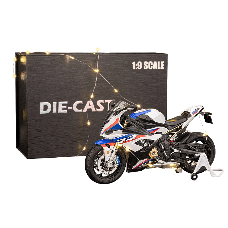 S1000RR 19