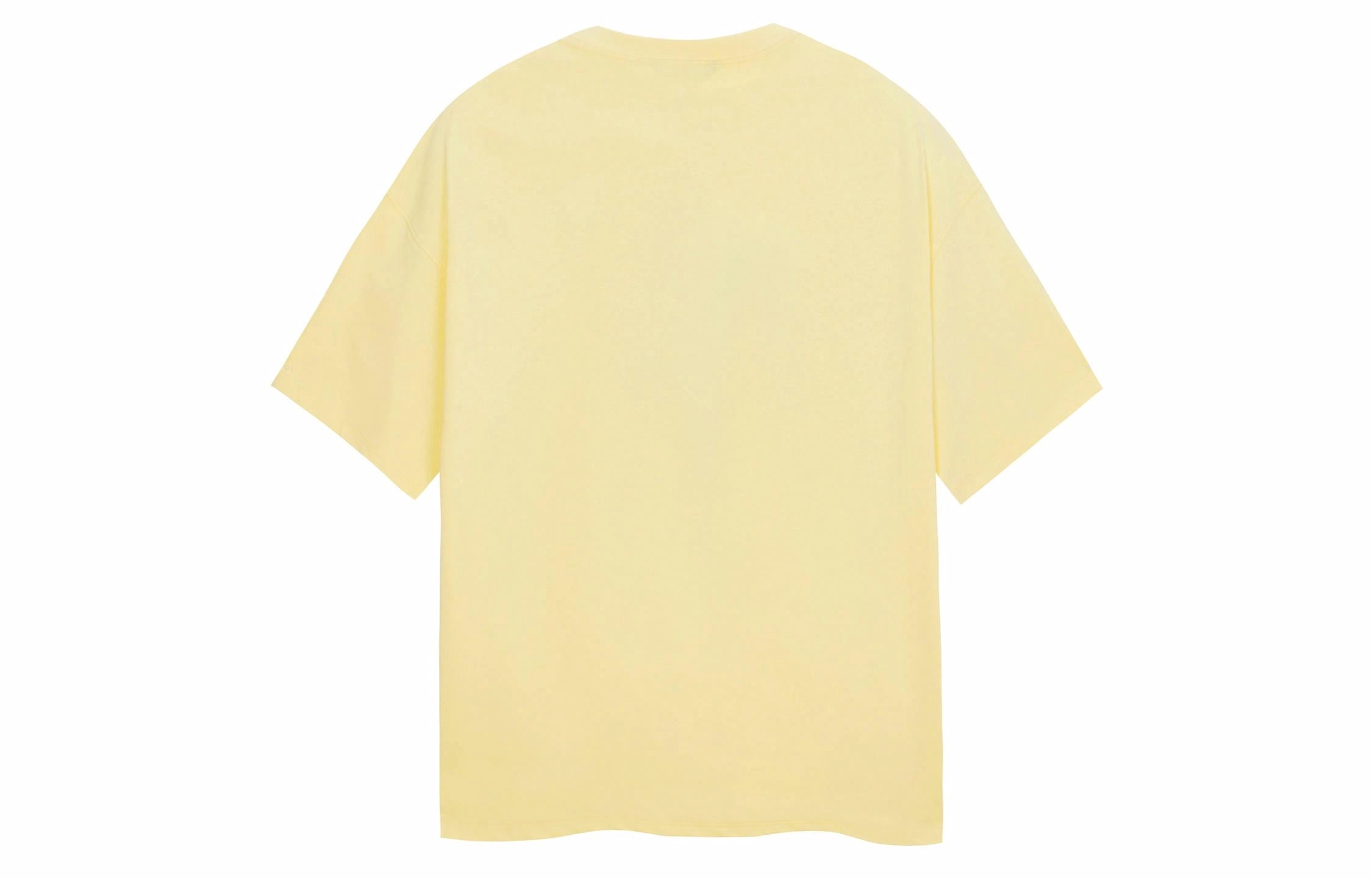 ICONS Lab T