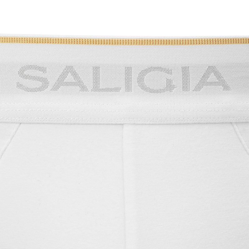 SALIGIA 3
