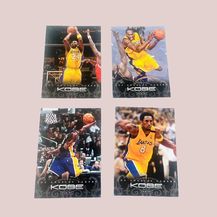 PANINI 2012 4