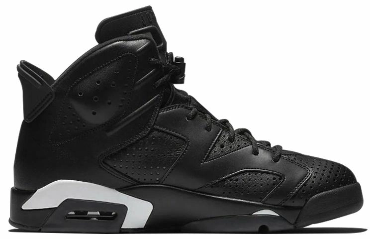Jordan Air Jordan 6 retro "black cat"