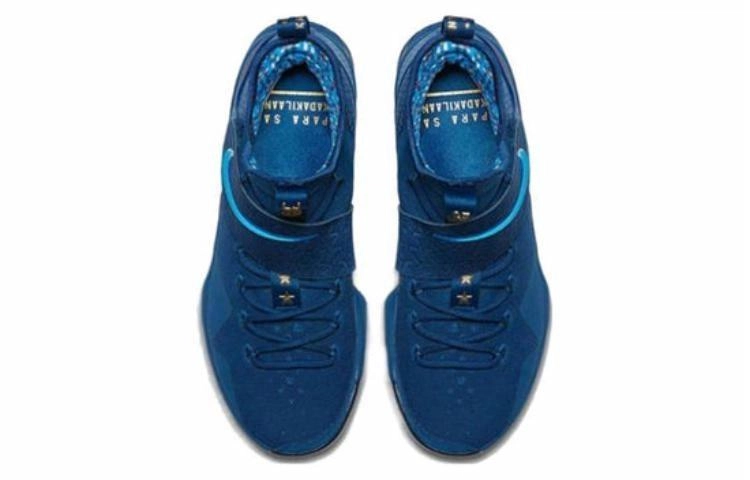 Nike Lebron 14 Agimat