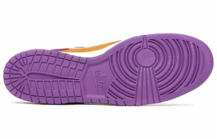 Nike Dunk SB Viotech