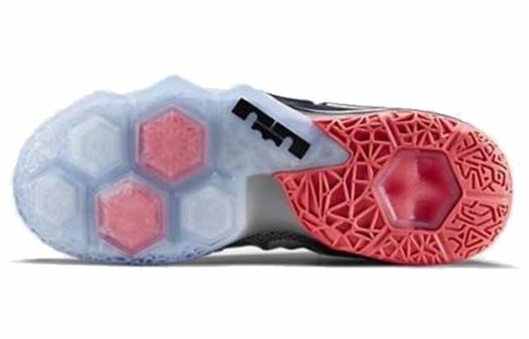 Nike Lebron 12 low Earned