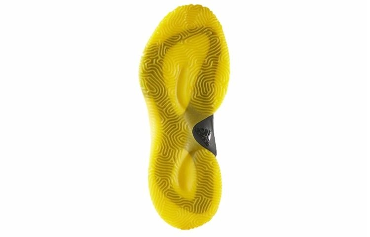 adidas Crazy Explosive 2017