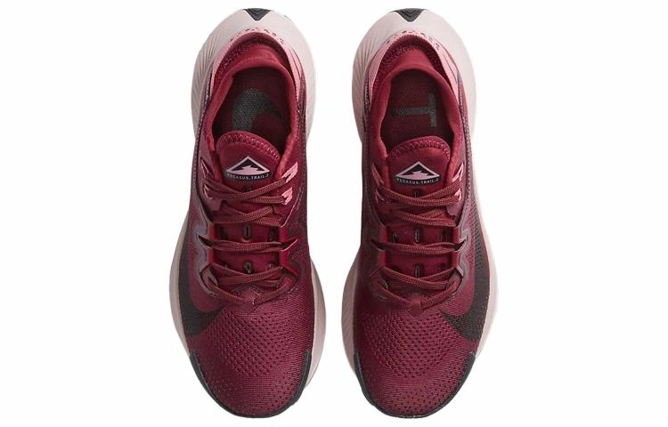 Nike Pegasus Trail 2