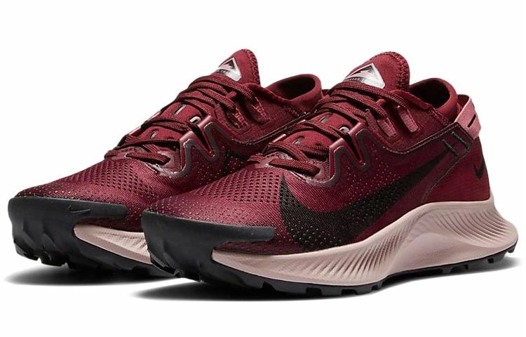 Nike Pegasus Trail 2
