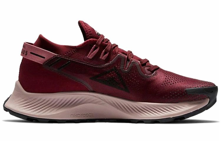 Nike Pegasus Trail 2