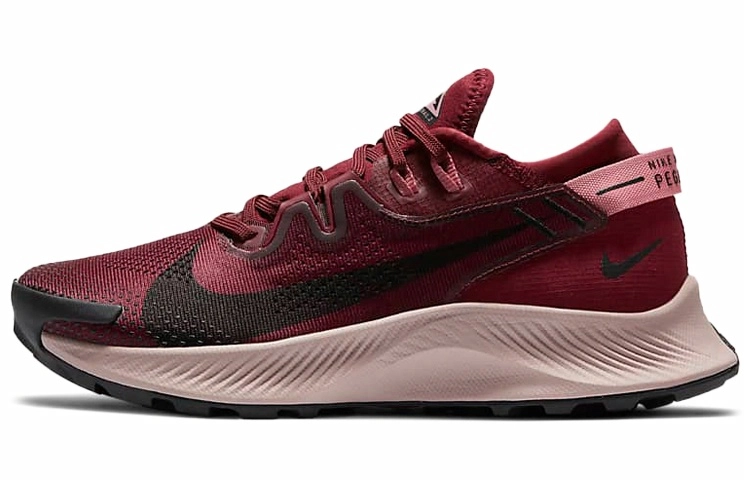 Nike Pegasus Trail 2