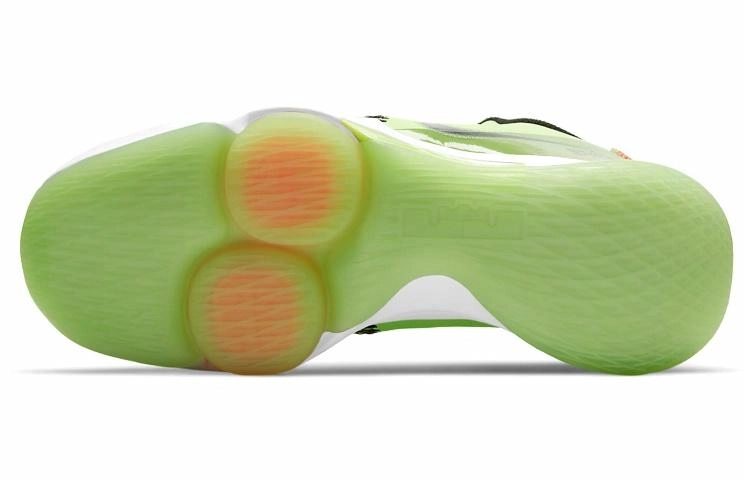 Nike Witness 5 LeBron