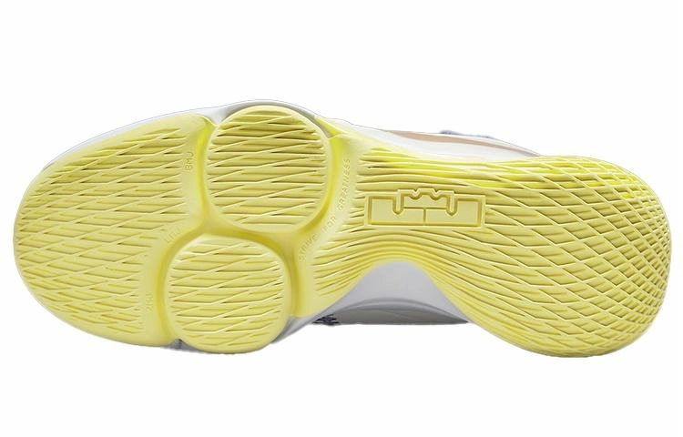 Nike Witness 5 Lebron EP "Lakers"